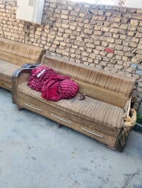 تخم • بغداد