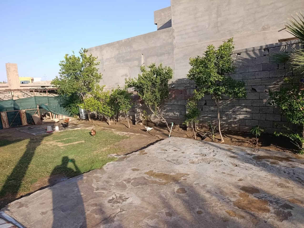 بيت للبيع بقضاء العلم زراعي عرب حسين الجريش مساحة الأرض 600 غرفتين نوم ربعه هول مطبخ مع محل خارجي وصحيات داخليه وخارجيه مع أشجار حمضيات وحديقه السعر 50 مليون مكتب ثائر الحديد للعقار ***********
