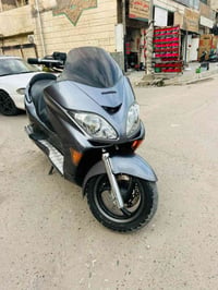 فورزة • جديدة • أوراق كمرك