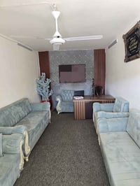 تخم قنفات • حشوة كنب