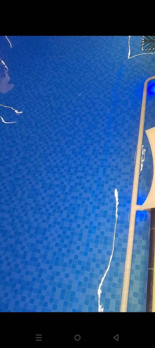 أكوا رويال 💧 فخامه في كل قطره
لتنظيف وتعقيم مياه المسابح المنزلية والتجارية 
ومسابح وحمامات السباحه والشاليهات والمزارع 
بأحدث وأنقى مواد التنظيف والتعقيم العالمية 

نعتني بالمسبح.... وأنت استمتع

للأستفسار يرجى الاتصال ***********
