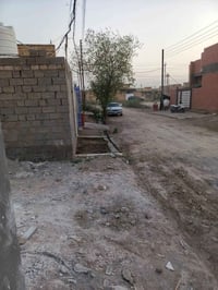 حي الضباط • ١٠٠م • قطعة أرض