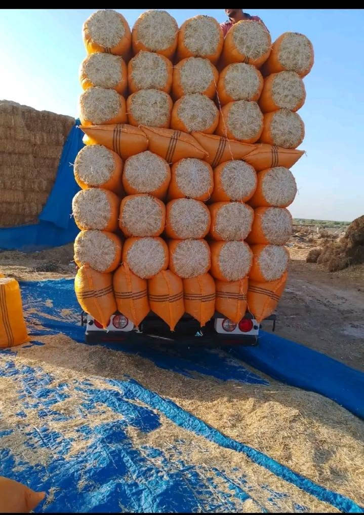 وين اليدورون النضيف  والستندر  وحجم 60 الطول 83 يمي تبناية عل فحص ذا بيهة قطرت تراب مرجوعة بسعر مناسب جداً جداً سعر الزوج ب2500 وترس دج خابر ودلل علينة 
 ***********
ابو حسين
يوجد توصيل سامراء  تكريت  دور. العلم. ناحية المعتصم الظلوعيه.  السحاقي ناحية العذيه بلد دجيل بلقرب  من علوت المخضر بغداد 
التاجي . الطارمية .المشاهده  عبايجي 
نستقبل اتصالاتكم من سبعه صباحا حتى الساعة العاشرة والنصف مساء
