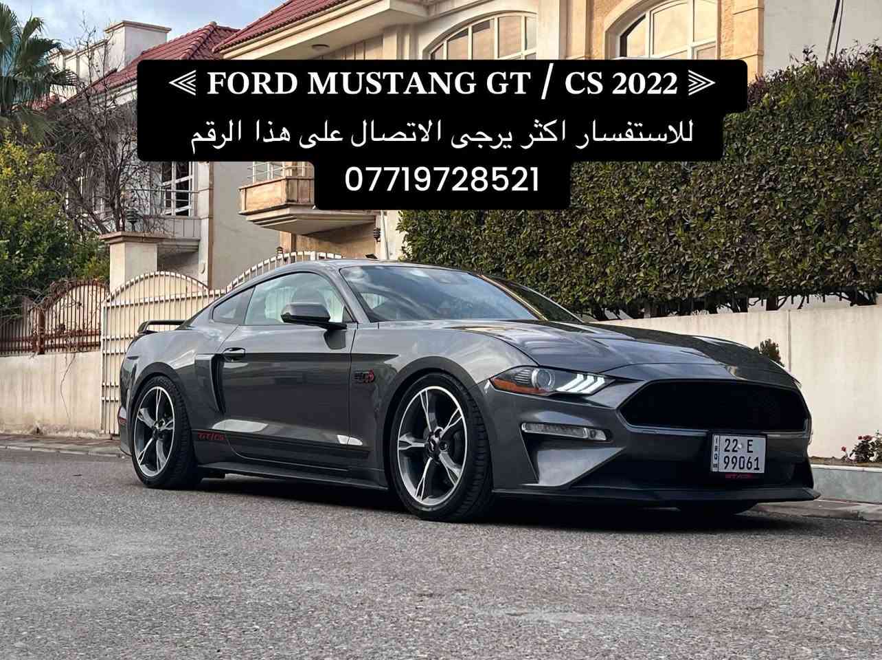موستانغ GT/CS • V8 5.0 • بدون صبغ