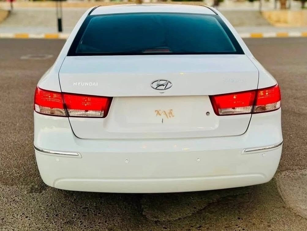 سوناتا • ٢٠١٠ • دخول جديد