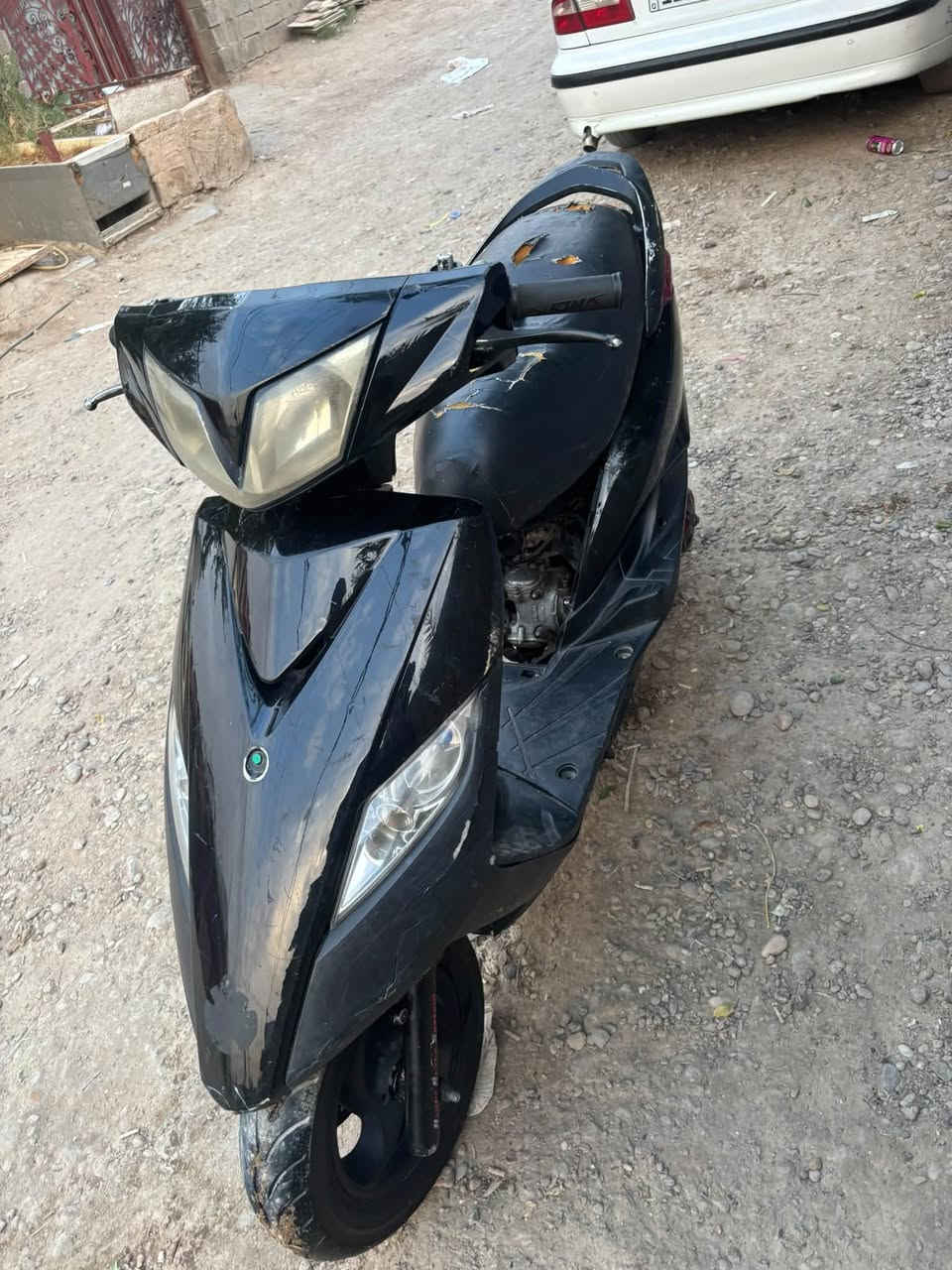 ثعلب • بلادية • نقصها كابريتر
