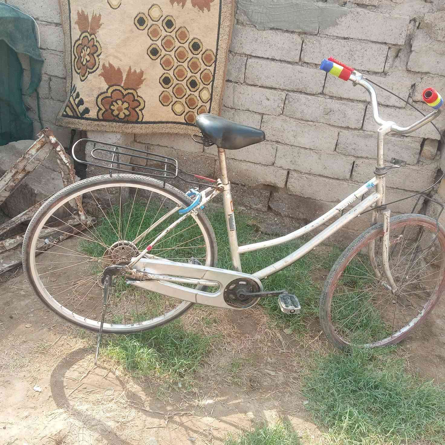 باسكل • نضيف • الغراف