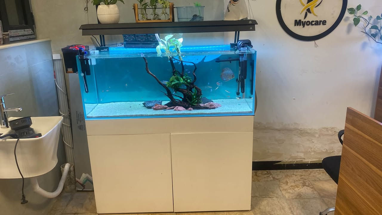 حوض للبيع مع كامل ملحقاته والاسناك 
قياس 120 *45*45 سوير وايت كرستال
عنواني بغداد _ البلديات 
***********
