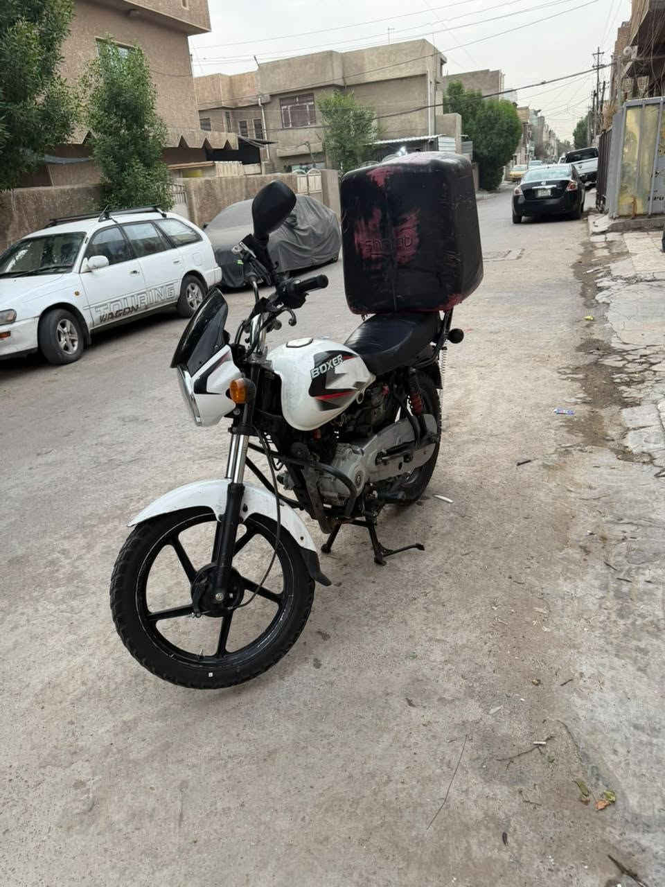 بوكسر • 2019 • مرقم بغداد