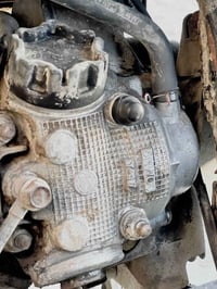 فراشة فحل • جديدة • سلف هندر