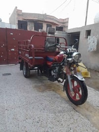 ستوته • موديل ٢٣ • مرقمه