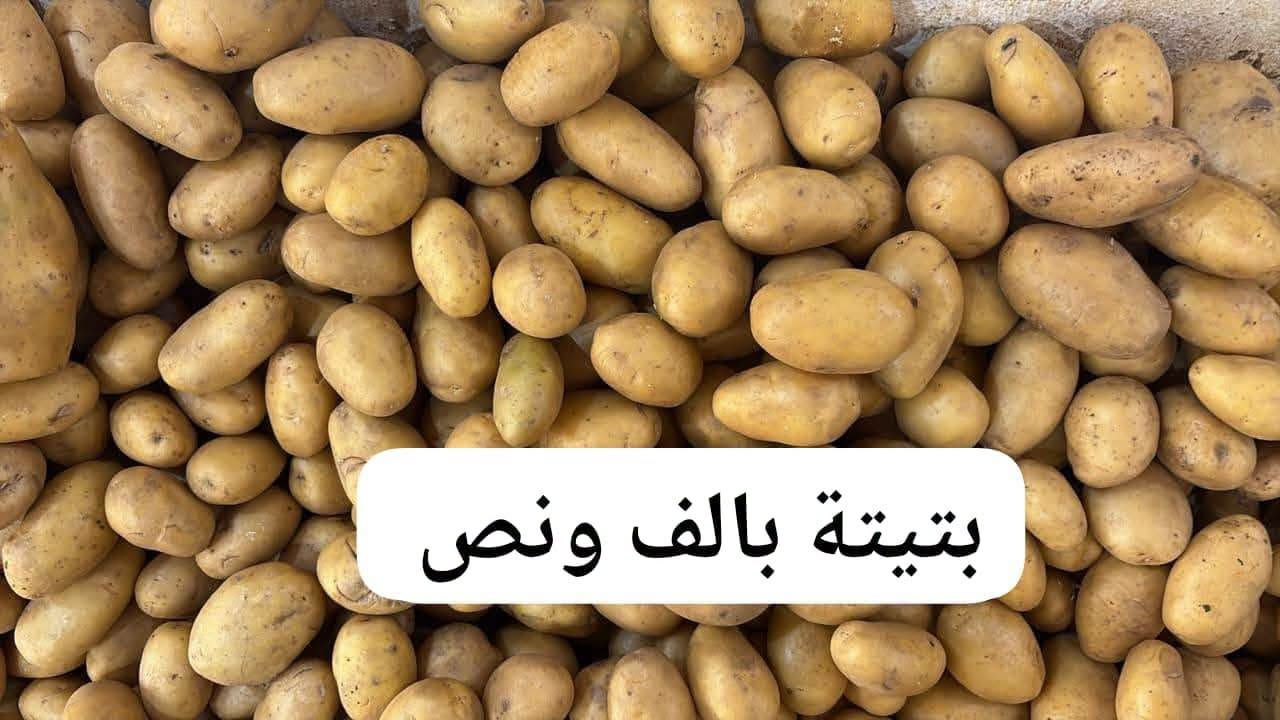 فواكه وخضروات • توصيل يومي • خانقين امام عباس