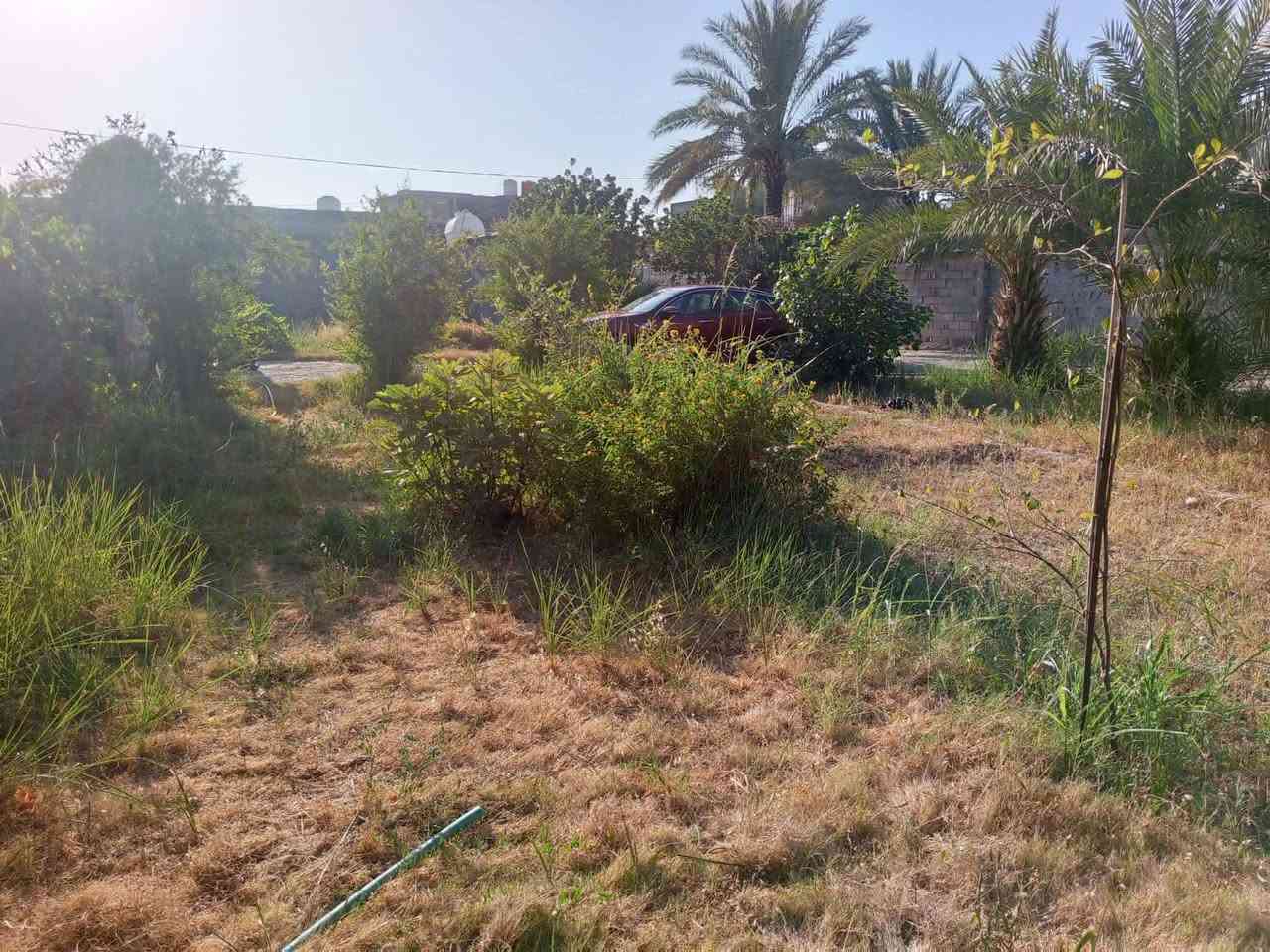 للبيع 1000متر مع بيت ومحل متوفره جميع الخدمات
وتحتوي ع نخيل وفواكه 

جنس العقار طابو سند 25 مفوظه بالطابو
العنوان بابل طريق حله نجف قرب مطحنة المسره تبعد عن الشارع الرئيسي 500متر

للاستفسار اكثر  ***********
