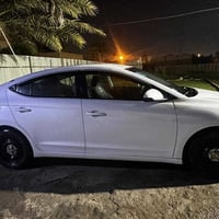 النترا • ٢٠١٧ • بابين صبغ