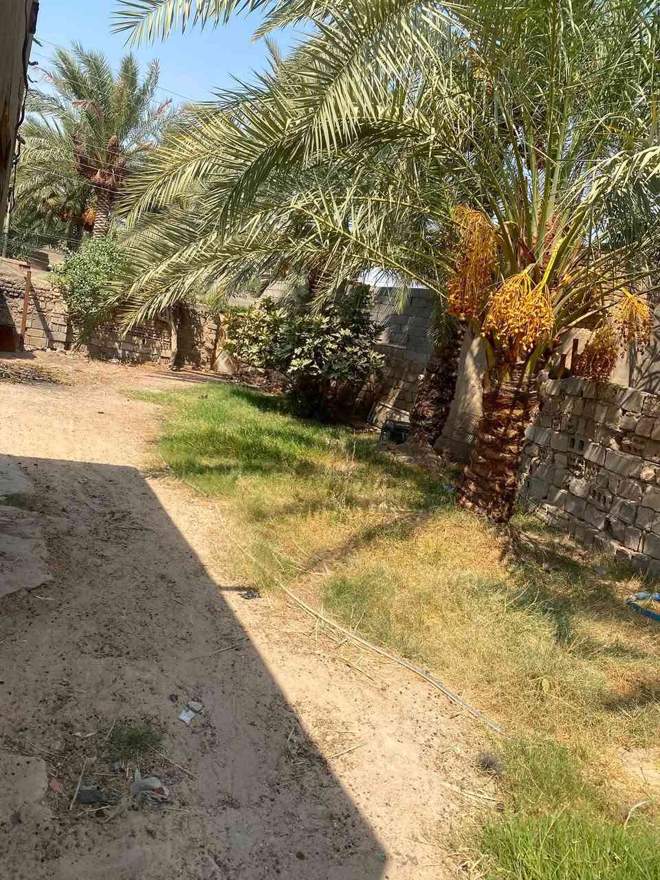 السلام عليكم بيت للبيع مساحه 400 أو اكثر مع البناء بيت قديم يحتوي ع ثلاثه غرف 5*4 وصاله 10*4 ومطبخ 6*4 وكلدور 2*2 مجهز من كلشي ماء أساله وكهرباء وطني ومولد منطقه موقع البيت الجماليه يبعد عن الشارع العام 100 متر للاستفسار الاتصال ع الرقم ***********

