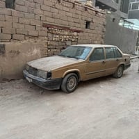 فالفو • رقم نجف • رعيه موجود