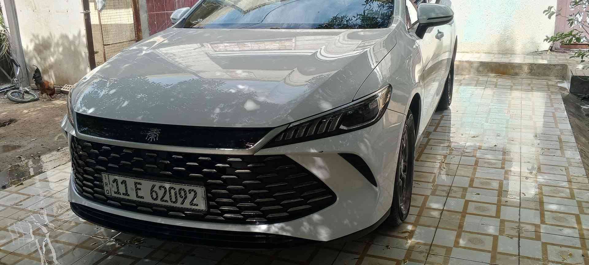 كن بلاص موديل 2025
داخل جلد ابيض
مواصفات كن بلاص معروفة
ماشية عل محرك 22
عل كهرباء 11
الكلي 33الف 
بيها رصعا بلدتير مال جاملغ الخلفي صغيرة
مبينة بل صور 
رقم بغداد بسمي 
سعر 20 مليون
مكان بغداد جكوك 
***********
