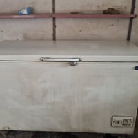 مجمّدة • شغاله • زعفرانيه