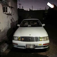 بطة كراون • ١٩٩٢ • بصرة خمسميل