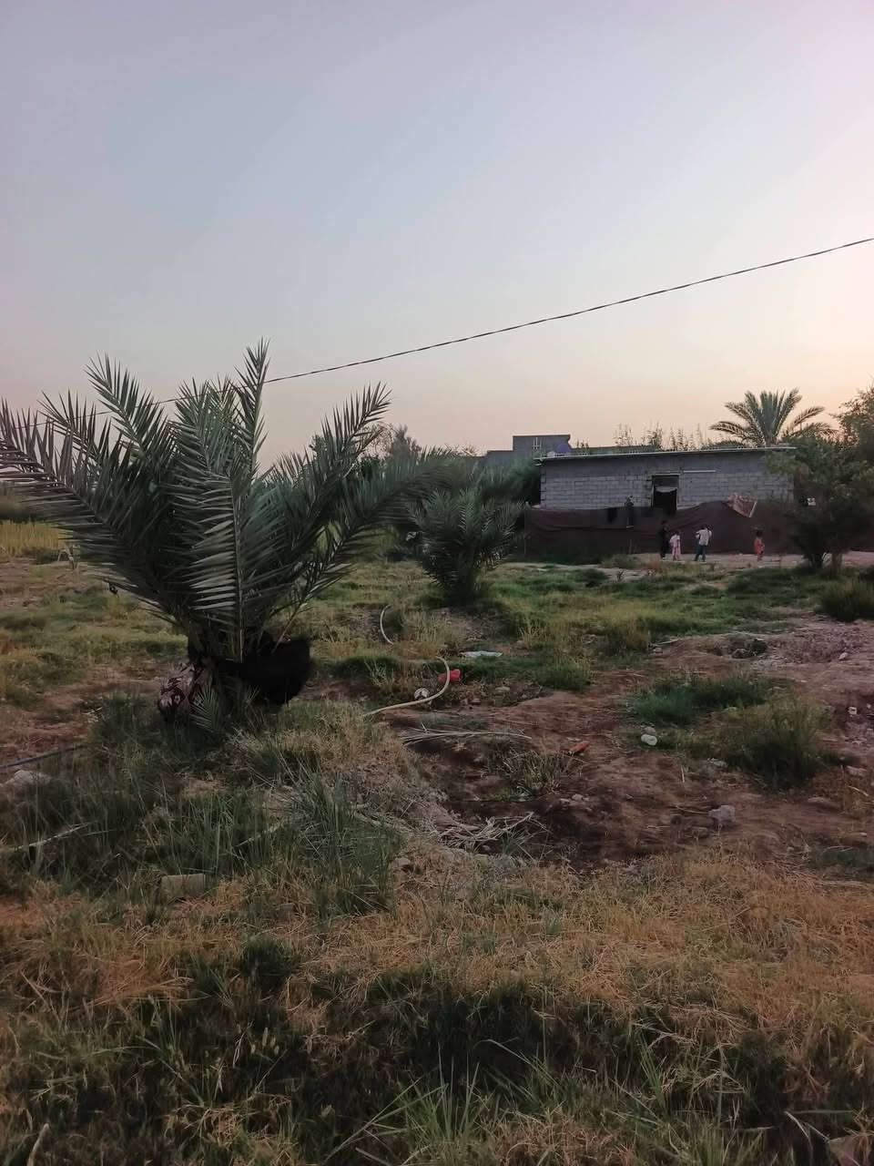 سلام عليكم لبيع راض زراعي دونمين وربع وبيه بيت صب ثلث مشتملات كبار كافت الخدمات موجوده سنتر على شارع  لعنوان بابل ورديه خارج قرب الامام علي ابن الحسن  عقد 35مروس حسب قناعه  ***********
