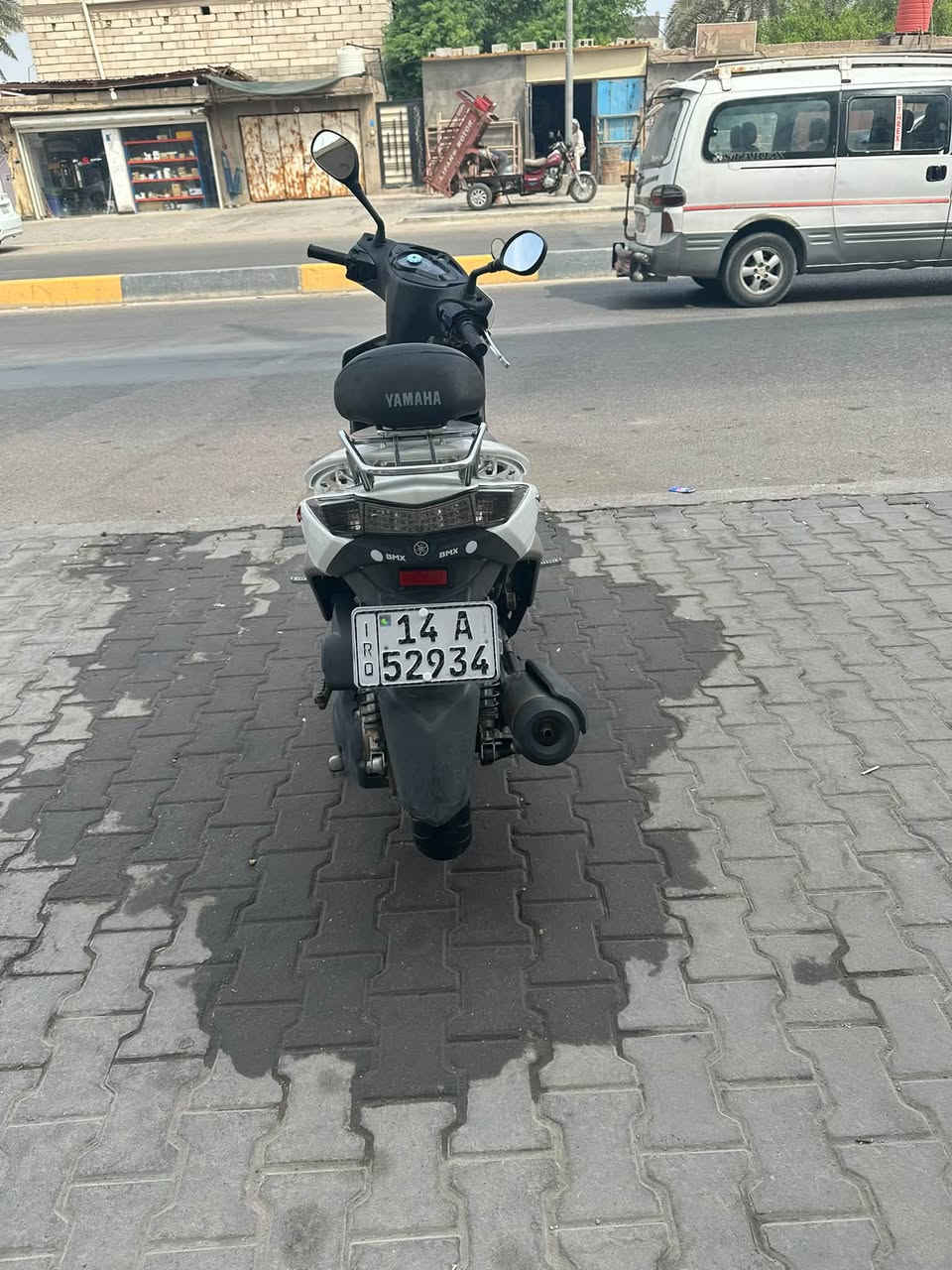 سكنس • ياباني • مكفوله