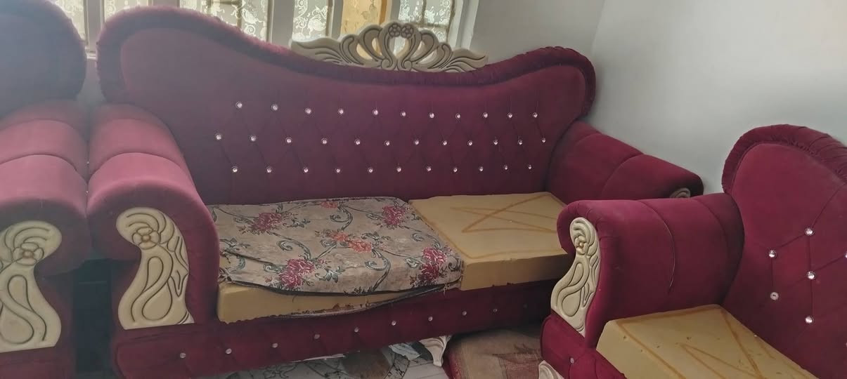 سلام عليكم تخم قنفات البيع 300وبيهن مجال ***********

