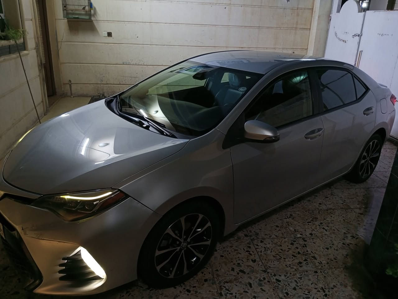 السلام عليكم للبيع كورلا 2019  se  امريكي ضرر جاملغ صبغ وباب تبديل  بلادي وجاملغ خلفي شخط ومصبوغ نصه بدون دواخل بدون ايرباك حجر ورادار بلادي صدر+تخم تاير جديد مابيهه نقص جاهزه هزه وسنويه جديد بأسمي تحويل مباشر السعر 128 بيهه مجال عنوان سياره فلوجه
رقم الهاتف ***********
رقم الهاتف ***********
السلام عليكم للبيع كورلا 2019  se  امريكي ضرر جاملغ صبغ وباب تبديل  بلادي وجاملغ خلفي شخط ومصبوغ نصه بدون دواخل بدون ايرباك حجر ورادار بلادي صدر+تخم تاير جديد مابيهه نقص جاهزه هزه وسنويه جديد بأسمي تحويل مباشر السعر 128 بيهه مجال عنوان سياره فلوجه
