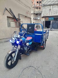 شباب • ستوته • موديل 19