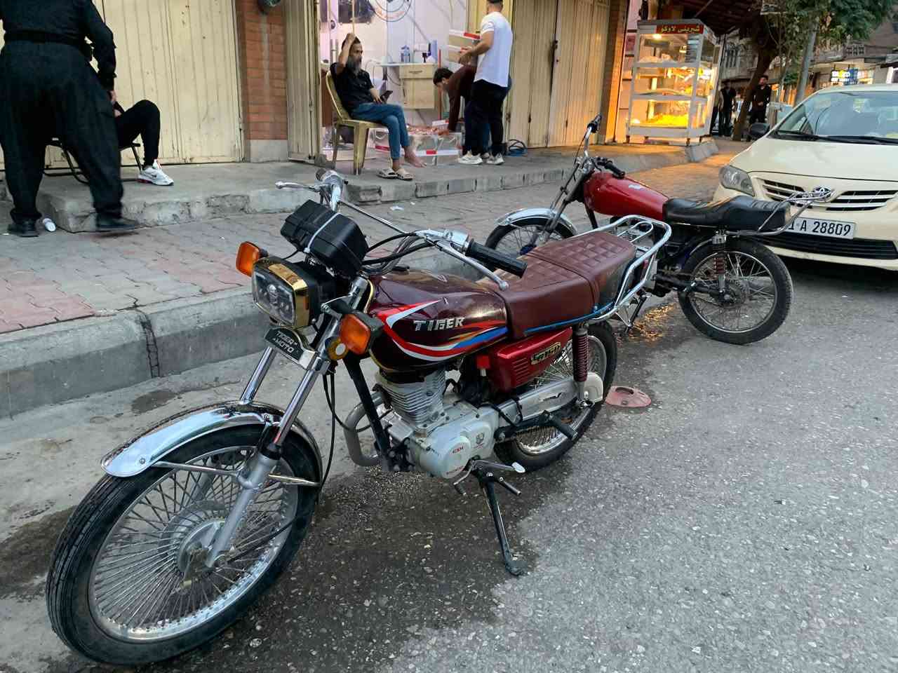 تايگار • ٢٠٢٣ • مرخص