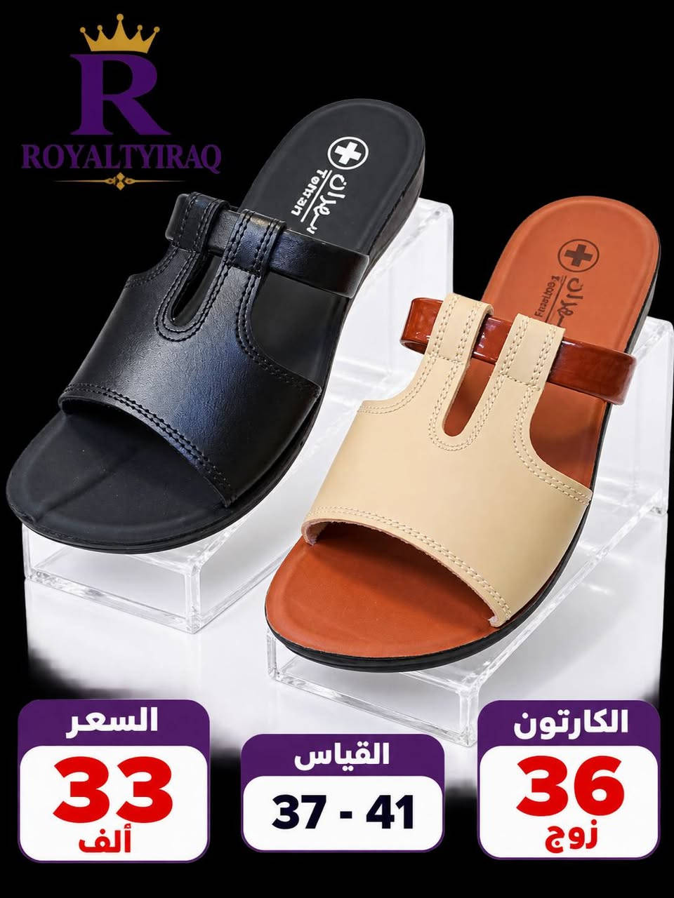جملة • قياس ٣٧-٤١ • كارتون ٣٦ زوج