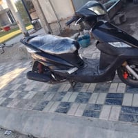 سكنس رمبه • ماشيه قليل • اوراق