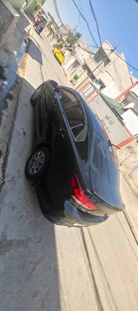 ٢٠٢٠ • ١٦٠٠ • وارد أمريكي