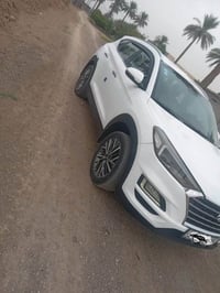 توسان • ٢٠١٩ • ابو غريب