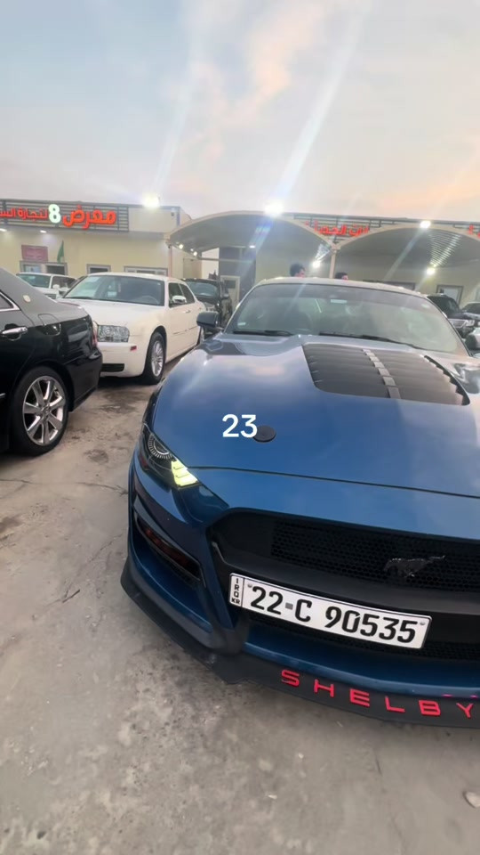 موستانغ • ٢٣ • البصرة