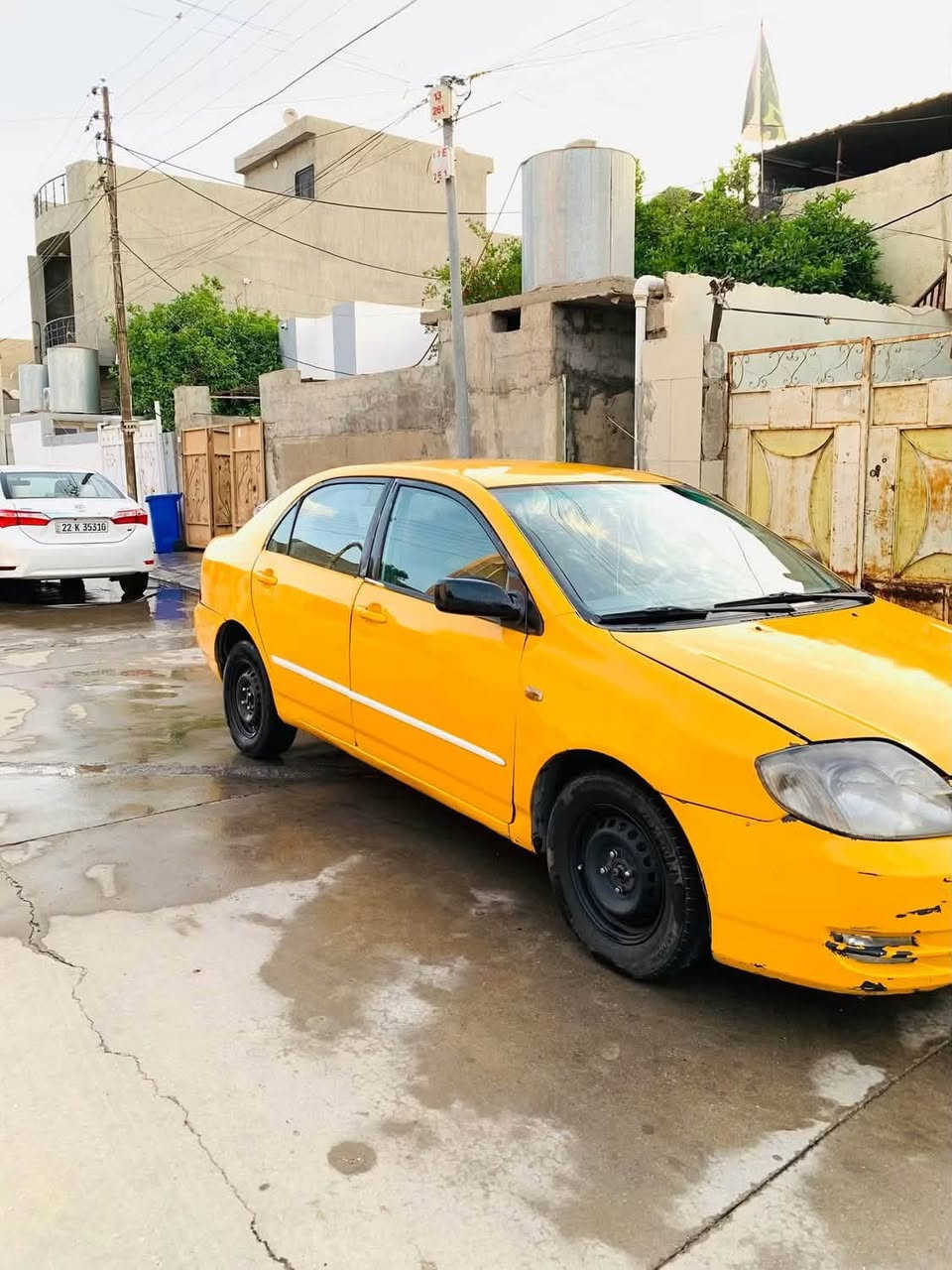 بيكاتشو 2001 السعر50وبيها مجال للاستفسار ***********

