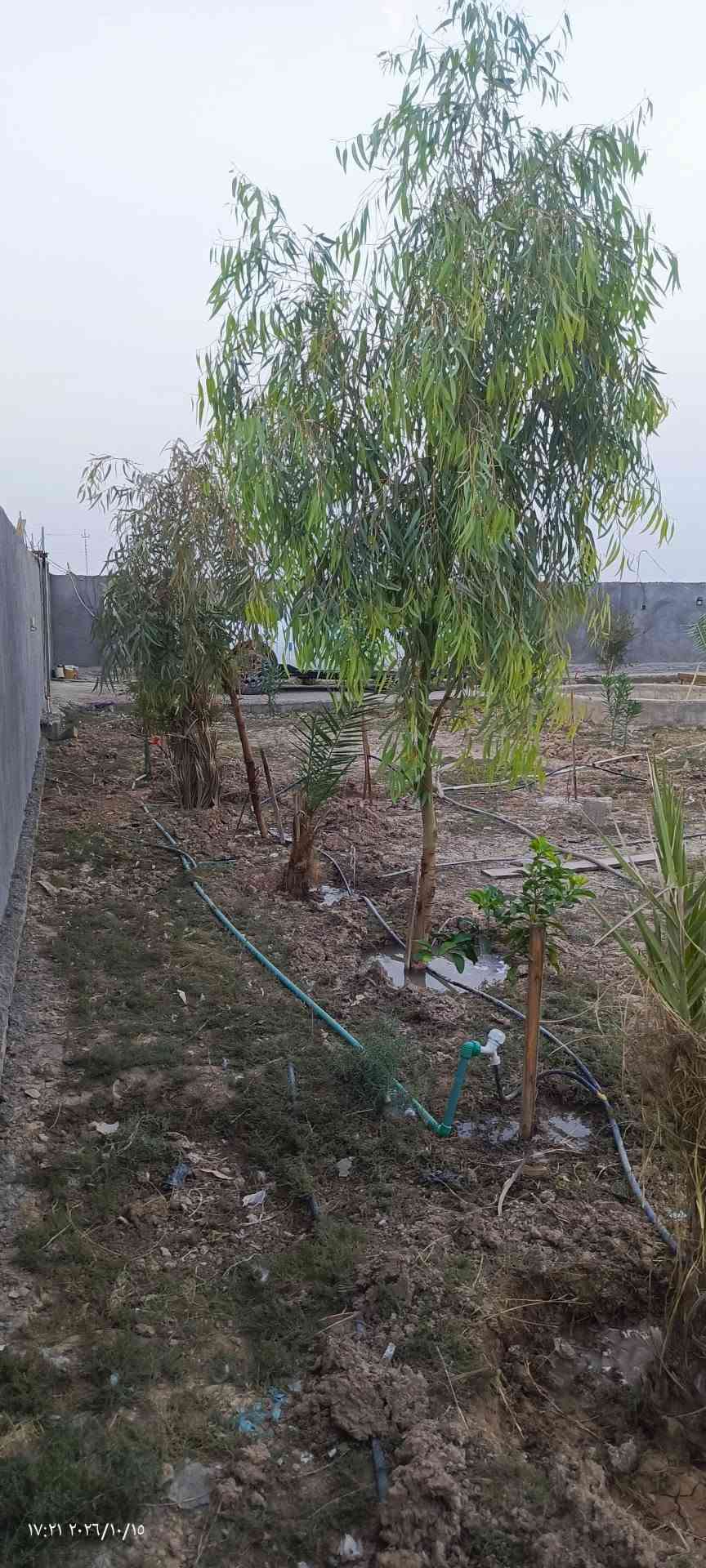 نص دونم • كرفان • ماء وكهرباء