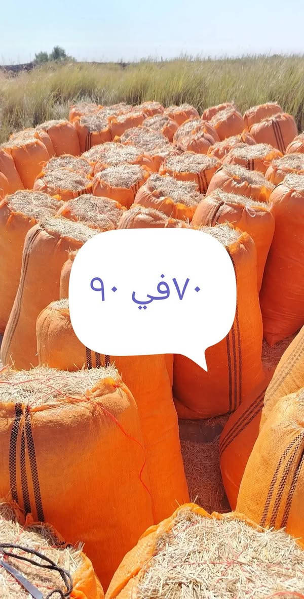 تبن مطحون واصل جميع محافظات العراق جميع أحجام الجيس موجود كل حجم اله سعر ترس فول وتبن نضيف شرط للاتصال واتساب أو اتصل ***********

نص مكتوب في الصور:
- زوجة ٣ واصل ٦٠ في ٨٠
- ٦٠ في ٩٠ زوجة ٣ ونس
- ٧٠ في ٩٠ زوجة ٤ ونص واصل
- ٧٠ في ٩٠
- ٦٠ في ٨٠
- ٠٧٧٣٣٧٥٨١٥ واسط
- عرض 90 طول 115