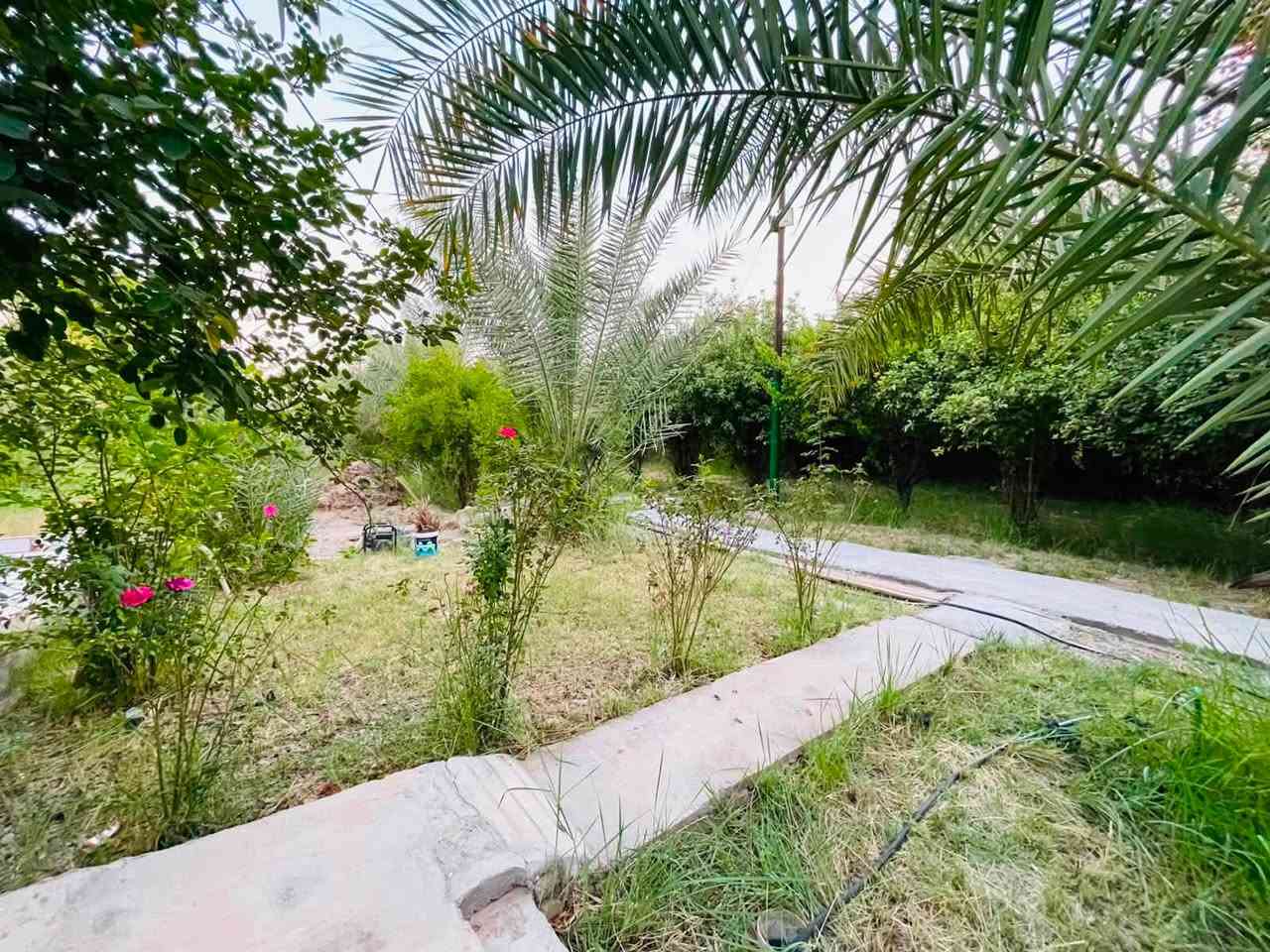 مزرعه للبيع
متكامله كل الخدمات 
سند ٢٥ تحويل 
واجه المزرعه ٢٥ متر
للاستفسار ***********
***********
