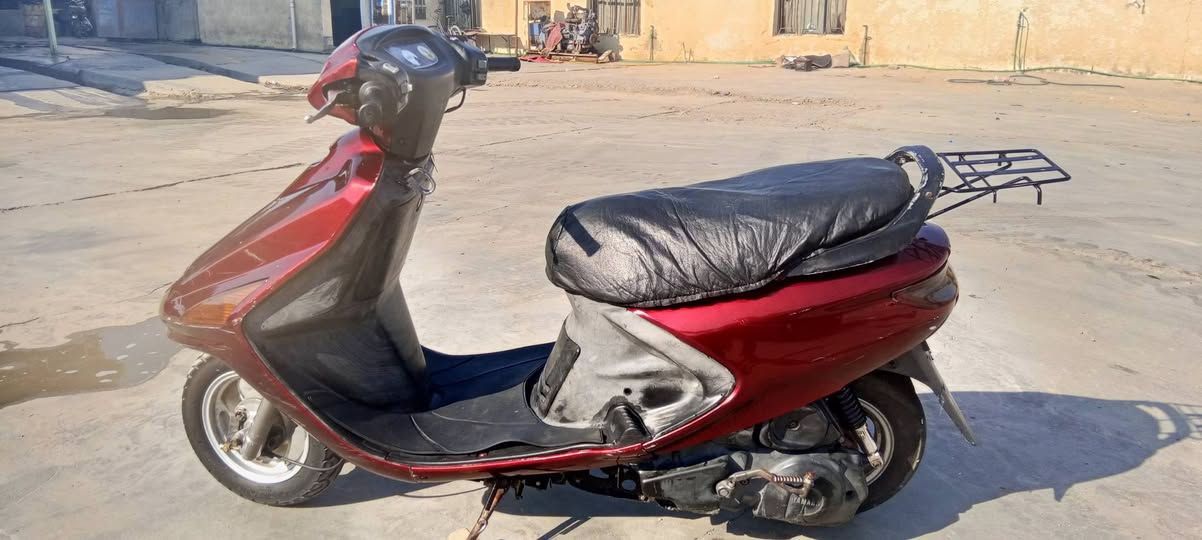 فحل للبيع
جلبيه  
550 وبيه مجال حك الجيه
للتواصل *********** 
غير متواجد على فيس
