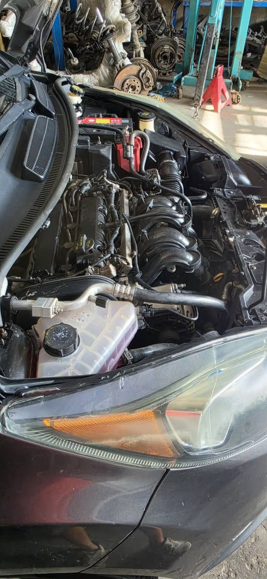 فورد فيستا 2016 SE
Ford fiesta 2016 SE 
كير اوتماتيك 
مكينة كفالة من الفتح والتصليح 
السيارة رقم ميسان مشروع وطني وين ميعجبك تحول حول صفر غرامات وبأسمي وهزه جديده 
سياره جاهزة كامله مكملة من حداديه وصدر 
تبريد تدفئة 
بيها ٣ قطع صبغ للجماليه تتضمن بيبان الصدر وشويه من بنيد شرط بدون معجون 
مكاني كوت 
سعر ٧٠ ورقه 
***********
