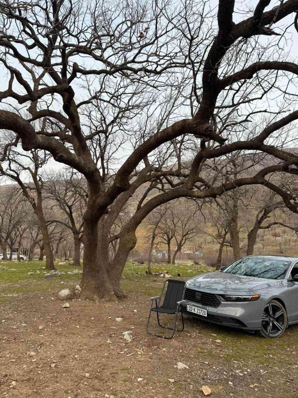 العنوان: للبيع: هوندا أكورد 2023 هايبرد 2.0L — لون سمنتي مميز (أربيل) ⚡️🔥

المواصفات الفنية:
• المحرك: 2.0 لتر هايبرد (2.0L Hybrid) - تجمع بين القوة والعزم مع اقتصاد ممتاز بالبنزين.
• سنة الصنع: 2023
• الماشية (المسافة المقطوعة): 40 ألف ميل.
• اللون الخارجي: سمنتي (رمادي مميز).
• اللون الداخلي: [اسود ]
أبرز المواصفات:
.Android Auto و Apple Carplay شاشة كبيرة تدعم •
.(Honda Sensing) أنظمة سلامة ورادار متطورة •
• فتحة سقف / وضعيات قيادة متعددة.
• تشغيل بصمة + تشغيل عن بعد.
> تفاصيل الضرر والحالة:
• البنيد: تبديل.
• الجاملغ (جهة السكن): تعديل بارد فقط.
• باقي السيارة والسيستم الهايبرد والمحرك بحالة ممتازة
وشرط الفحص.
💰 السعر المطلوب: 187 ورقة ($18,700) (قابل للتفاوض البسيط للجادين).
📍 المكان: أربيل
📞 للتواصل: [***********/ واتساب] أربيل, العراق
