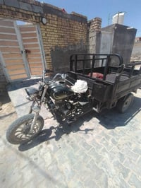 ستوته • أكلك • شاصي مكفول