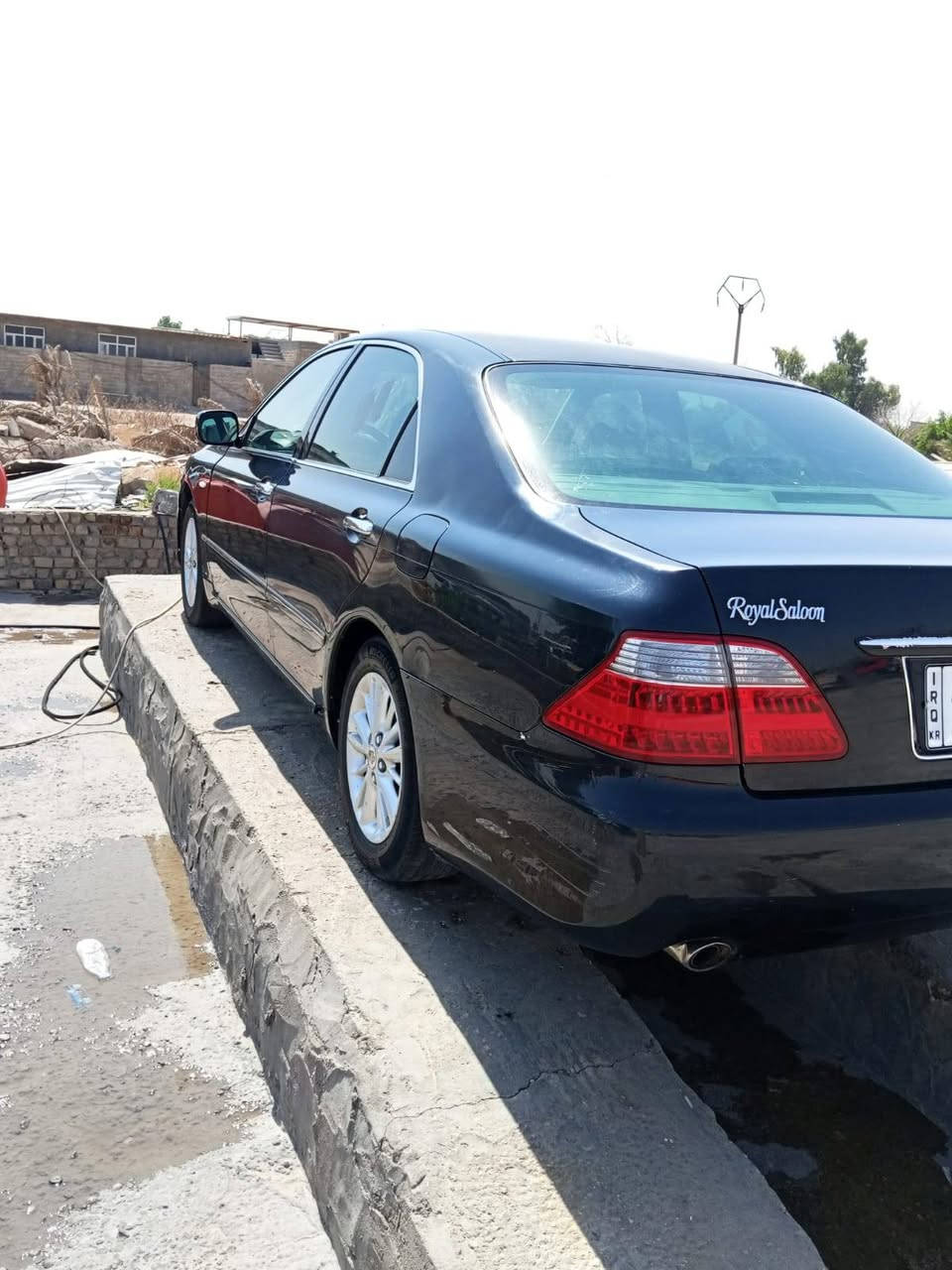 شاهين • ٢٠٠٦ • نجف