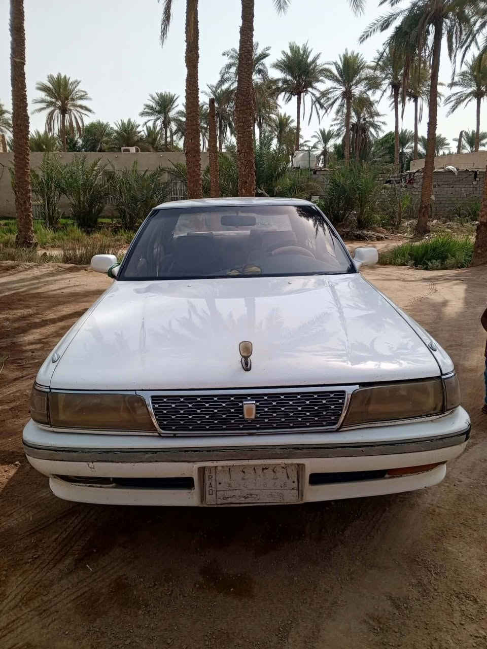 شيزر • ١٩٩٣ • الديوانية