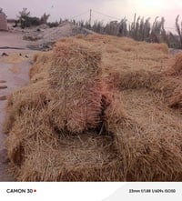تبن • ١٠٠ كبسه