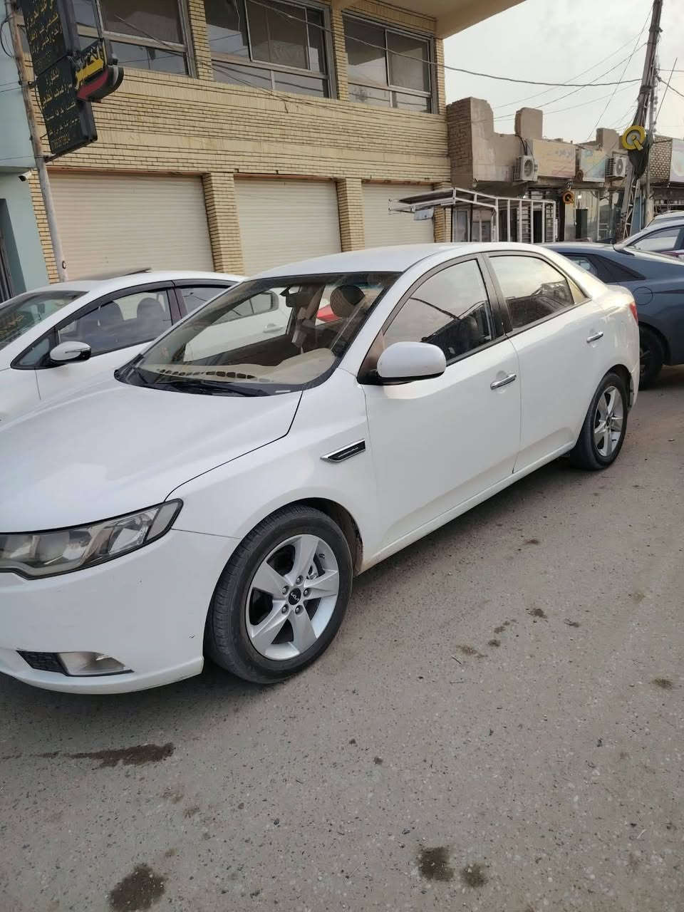 سيراتو • ٢٠١٣ • جلد