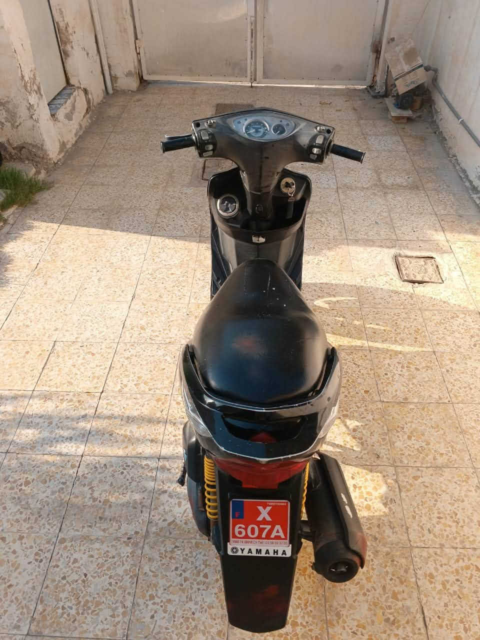 GTR • ثعلب • ما مفتوحه