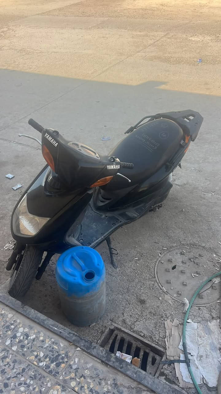 سكنس فحل • ١١٠ • نضيفة