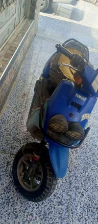 سكنس • جبلي
