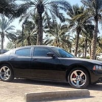 شالجر • ٢٠١٠ • بدون لوحات